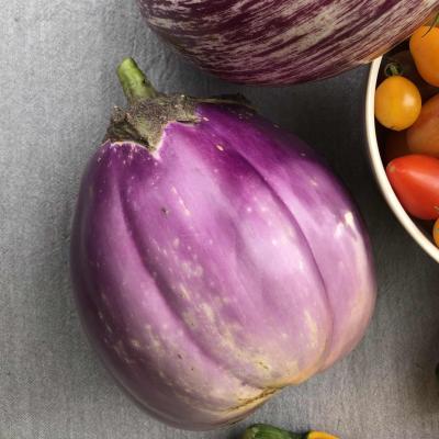 Aubergine thorains violette florence 2 copie