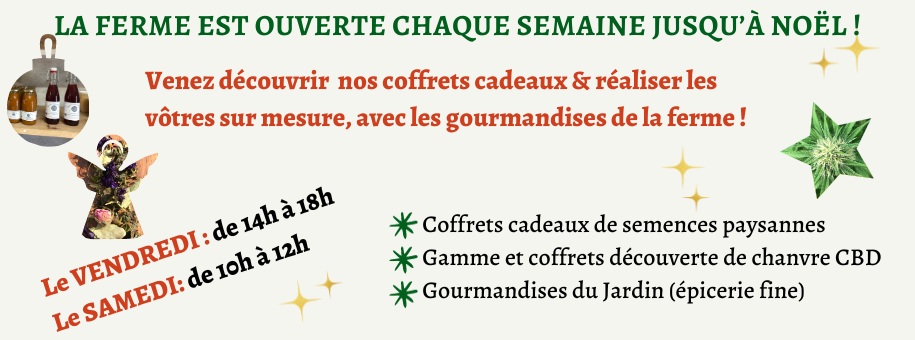 Banniere site newsletter