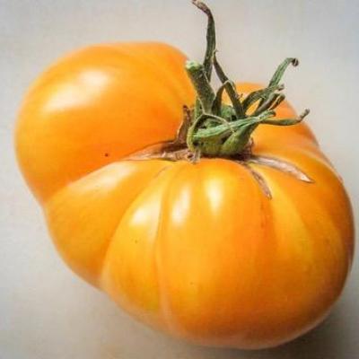 Big yellow zebra tomatofifou 1