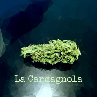 Carmagnola photo site