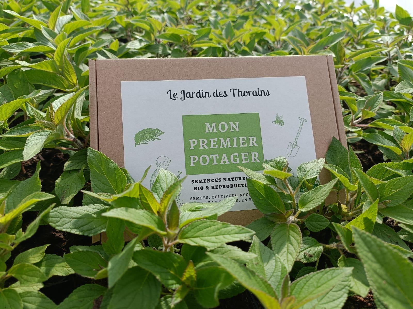 Box Cadeau pour semer des légumes originaux