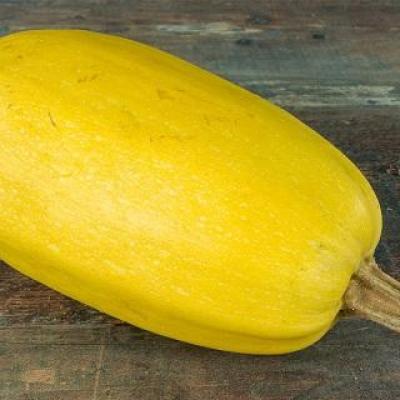 Courge spaghetti 1