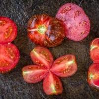 Dark galaxy tomatofifou 