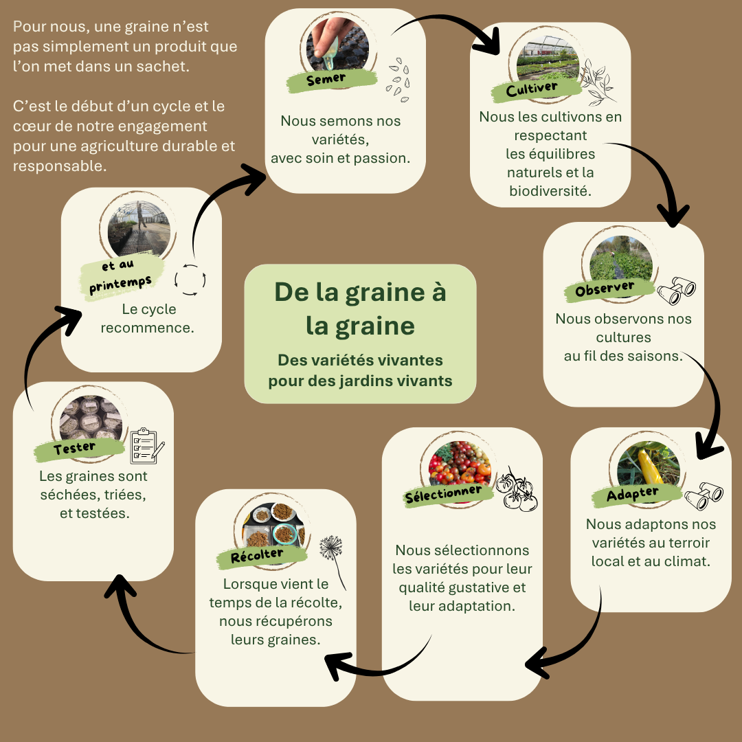 De la graine a la graine editable canva pptx 1