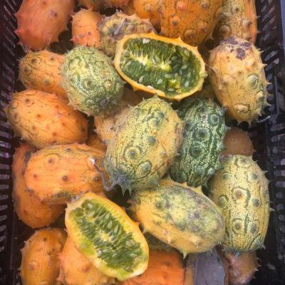 Kiwano