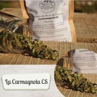 La carmagnola cs