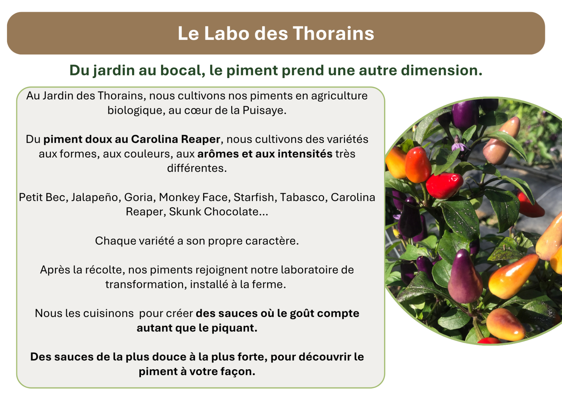 Le labo 297 x 210 mm 7