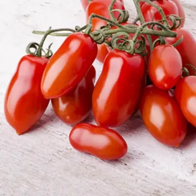 Lumina tomate