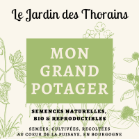 Mon grand potager box graines