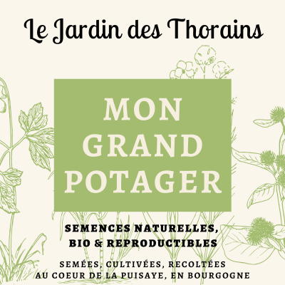 Coffret Potager breton - 10 sachets de graines BIO