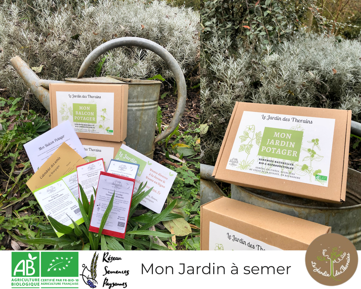 Montage photo rose et gris de renouvellement de v ux 1
