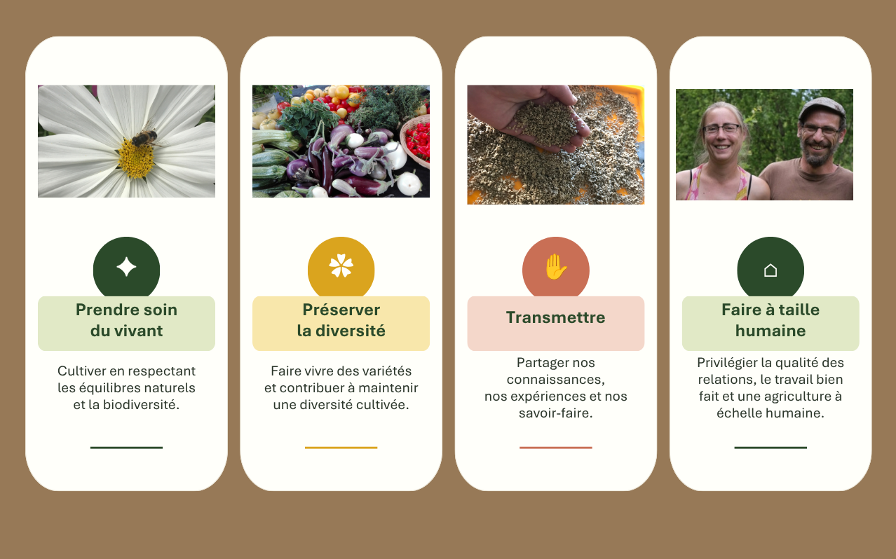 Nos valeurs le jardin des thorains editable canva pptx 1