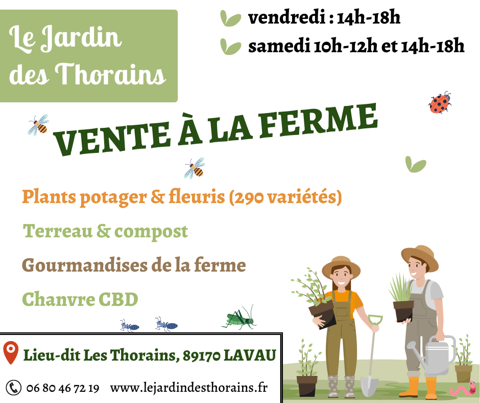 Ouverture e picerie 2023 fb