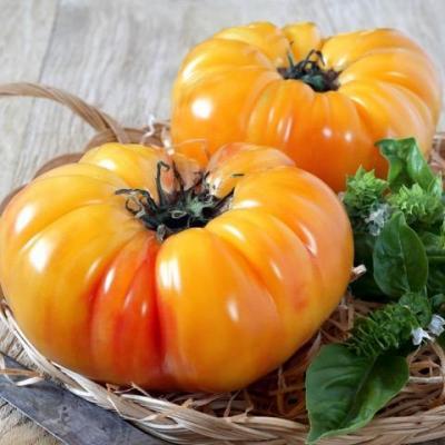 Tomate copia ananas