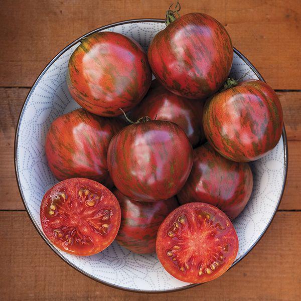 Tomate pink boar